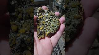 Wulfenite my beloved geology cool minerals rocks science mexico [upl. by Ahsekat]