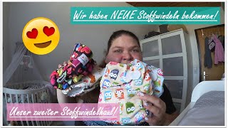 Haul  Wir haben neue Stoffwindeln All in Ones  Reborn Baby Deutsch  Little Reborn Nursery [upl. by Nna]