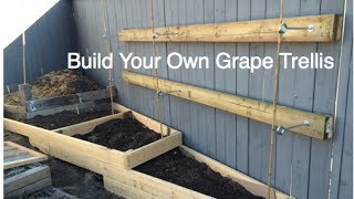 Howto build a Simple Grape Trellis on a residential fence DIY in the Alberta Urban Garden [upl. by Christan]