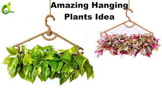 Easy Hanging Planter Making With Waste Materials Hanging Plant Idea For HomePlantsORGANIC GARDEN [upl. by Zamir]