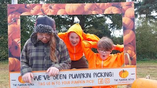 The Pumpkin Patch  East Bergholt 261024 [upl. by Niras386]