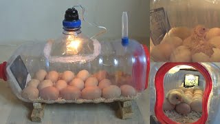 How To Make a Home Incubator Simple And Easy  جعل حاضنة المنزل بسيطة وسهلة [upl. by Euridice]