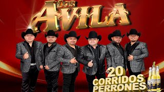 Los Avila 2024 Puros Corridos Fregones PaPistear🔥💣🍺🎷Lo Mejor De Los Avila [upl. by Rocca]