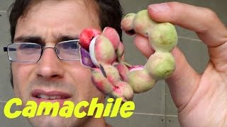 Camachile Pithecellobium dulce Review in Bangkok  Weird Fruit Explorer  Ep 77 [upl. by Hayidan]