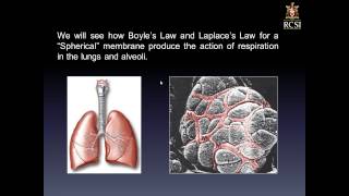 Gas Laws and respiration [upl. by Kitty]