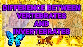 Difference between vertebrates and invertebrates  chordates and non chordates difference [upl. by Adnovad622]