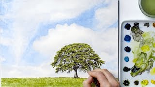 How to paint realistic trees and grass for landscapes in watercolour with Anna Mason [upl. by Aemat]