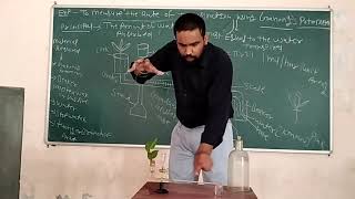 Practical Demonstration  measurement of transpiration by using Ganong Potometer  by Arvind Beniwal [upl. by Eirrod53]