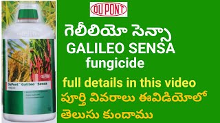 DUPONT GALILEO SENSA FUNGICIDE FYLL DETAILS IN TELUGU  BB agriculture Telugu [upl. by Allehcram759]