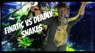 Fisherman handles deadly snakes finatic [upl. by Yleve]