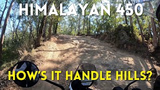 Can the Himalayan 450 climb hills [upl. by Felten799]