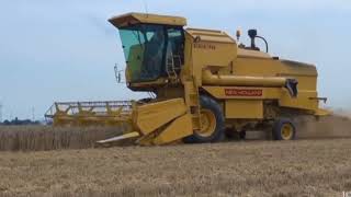 new holland 8080 combine harvester [upl. by Ballard655]