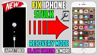 How to Fix iPhone Stuck on Recovery Mode  Apple Logo  Black Screen amp More  iPhone iPad  iPod [upl. by Carole]