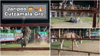 TOROS Y CABALLOS BAILADORES  JARIPEO 🔥🤠 CUTZAMALA GRO [upl. by Nerral]