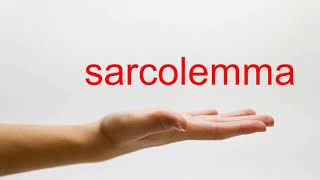 How to Pronounce sarcolemma  American English [upl. by Agnew]