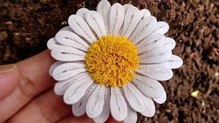 Daisy Flower Part 3 [upl. by Trip]