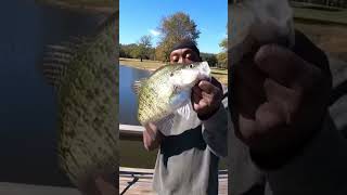 SLAB CRAPPIE 2024 crappie fishing crappiefishing [upl. by Gnuy]