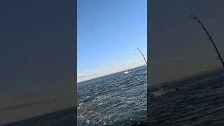 November 2 Striped Bass Fishing [upl. by Odlanra526]