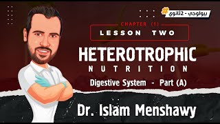 Lesson 3 I Heterotrophic Nutrition  Part A  Biology 2024 [upl. by Nedrah]