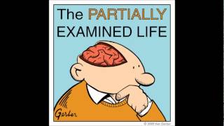 Partially Examined Life podcast  Wittgenstein  Philosophical Investigations  Part 2 [upl. by Mirth]