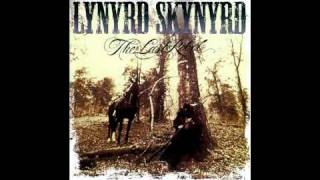 Lynyrd Skynyrd  Born to Run [upl. by Emee]