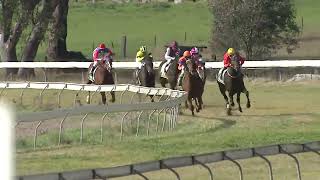 Gulgong 09 06 2024 Race 1 [upl. by Oetam]