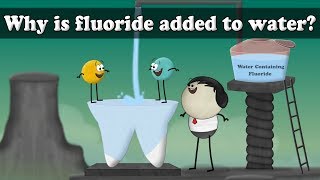 Why is fluoride added to water  aumsum kids science education children [upl. by Gorges]