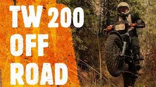 Yamaha TW 200 Trail Riding Off Road Single Track [upl. by Eldreeda]