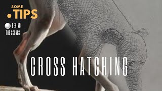 Cross Hatching  art tutorial [upl. by Ainnek]