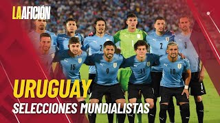 Perfil de la selección de Uruguay jugadores director técnico y calendario en Qatar [upl. by Ecnarf434]