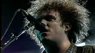 The Cure  Friday Im In Love Live 1996 [upl. by Airot122]