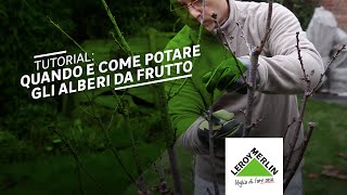 Potatura Alberi da Frutto quando e come potarli  Leroy Merlin [upl. by Arturo]