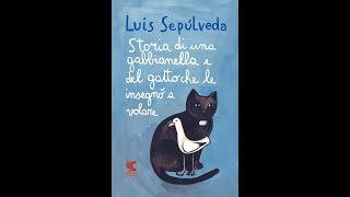 Storia di una gabbianella e del gatto che le insegnò a volare Audiolibro Completo PARTE SECONDA [upl. by Holman]