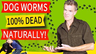 How to Naturally Treat a Dog With Worms 100 Effective Home Remedy [upl. by Florina]