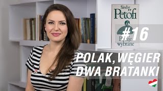 Węgierska randka 16  Polak Węgier  dwa bratanki 12 [upl. by Dowd160]