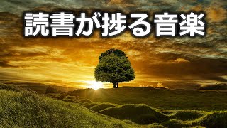 読書が捗る音楽│時間を忘れて没頭するBGM│50min [upl. by Aluor]