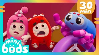 Spoilsport Spider  Minibods  Animals And Creatures  Kids Cartoon In Hindi हिन्दी [upl. by Nnaid]