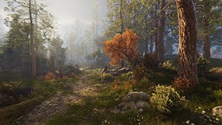 Rocky Hills Forest  Demo [upl. by Dwane658]