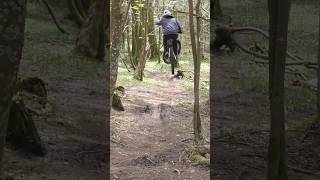 Haldon Forest Mtb launcher 🚀 mtb haldonforest ukmtb biking [upl. by Ylas]