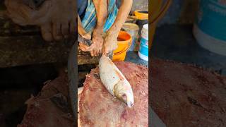 Amazing Big Mrigal Fish Cutting Skills Live In BD Fish7Market [upl. by Amand802]