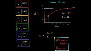 Michaelis Menten Equation Enzyme Kinetics PART 1 Introduction [upl. by Dachia]