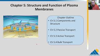 BIOL201 Ch51  Components and Structure Plasma Membrane [upl. by Eehtomit35]