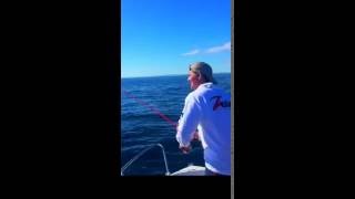 Bass fishing Eddystone lighthouse using Zman swimmerz [upl. by Cogswell]