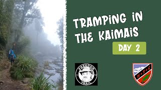 Tramping in the Kaimais Day 2 [upl. by Winthrop]