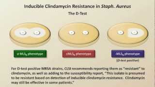 Antibiotic Resistance Antibiotics  Lecture 9 [upl. by Othilie]