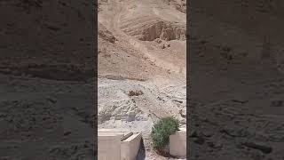 Masada Heights Israel [upl. by Aisanat]