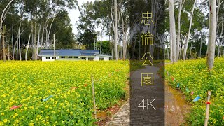 Zhonglun Park in Xiamen city of China Walk tour 4K60FPS UHD 13th Mar 2021 [upl. by Tearle990]