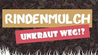 ☀ Rindenmulch gegen Unkraut Verschwindet das Unkraut für immer  GartenundFreizeitde [upl. by Biagi]