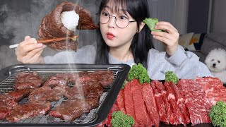 육즙좔좔 입에서 녹는 한우 소고기 먹방🥩KOREAN BBQ GRILLED BEEF MUKBANG ASMR [upl. by Eineg362]