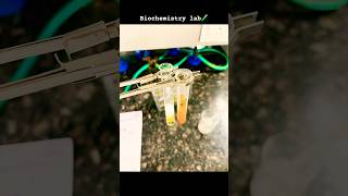 Biochemistry lab 🧪mbbs 1st yearshortsvideo medicalcollege aimmmcr [upl. by Parthen84]